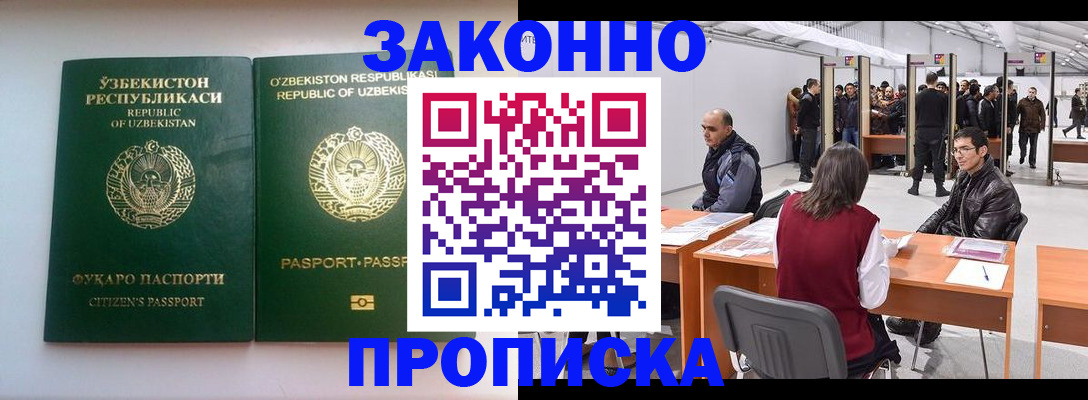 временная регистрация поиск в Коле
